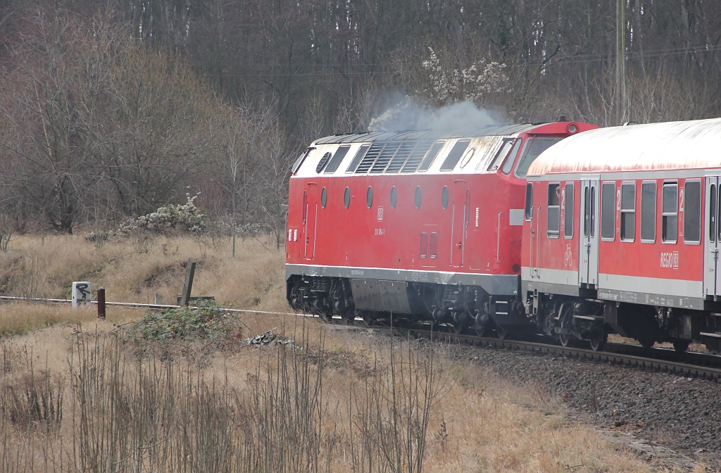 Die fahrt von Gttingen nach Erfurt mit dem Advents- Express und der 219 084-1 war fast so schne wie eine Dampfsonderzug-Fahrt. Hier ein Bild der schwer arbeitenden Lok aus dem letzten Wagen heraus. Aufgenommen am 03.12.2011.