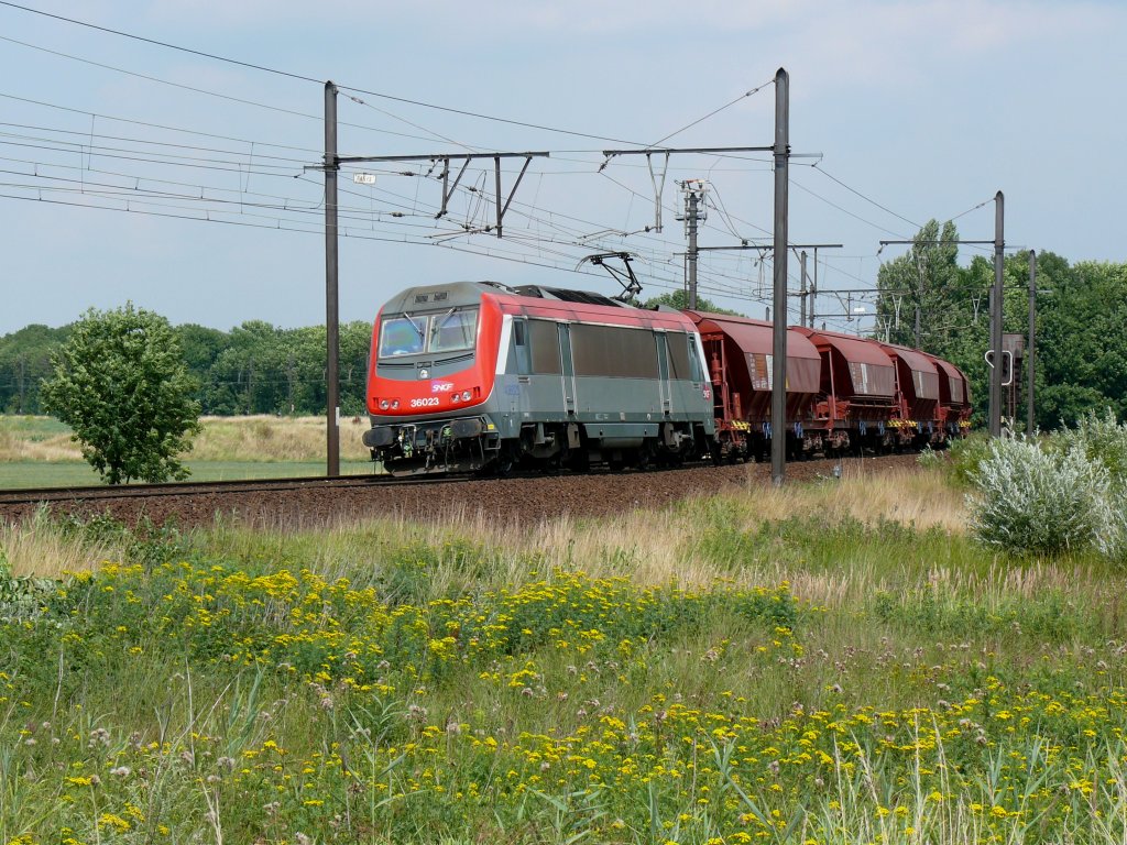 Die franzsische  Astride  36023 kommt mit einem Gterzug vom Antwerpener Hafen. Hier aufgenommen bei Ekeren am 30072010.