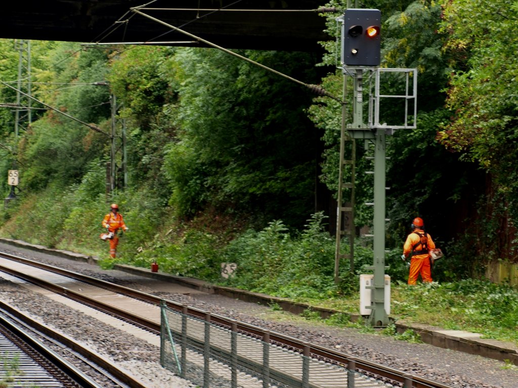 Die Freunde aller Bahnfotografen in Aktion, hier schneiden am 27.08.2010  Bahnarbeiter die Bschung am Eilendorfer Bahnhof von Unkraut und Gestrpp frei. 