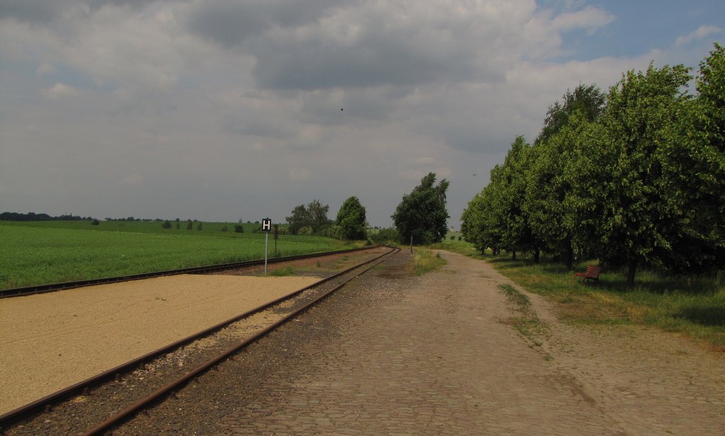 Die Gleisanlagen der Dllnitzbahn im Bf Naundorf; 09.06.2011