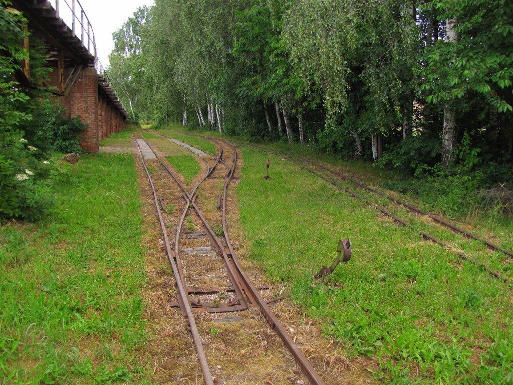 Die Gleisanlagen der Feldbahnschauanlage in Glossen bei Oschatz; 09.06.2011