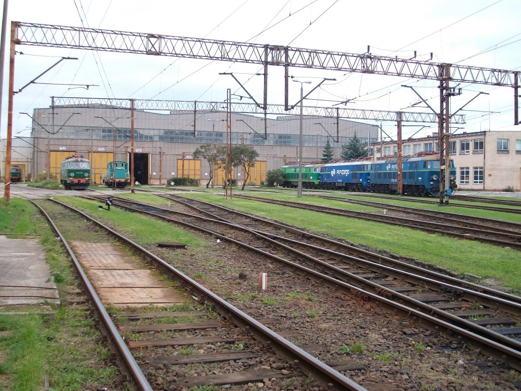 Die gro�e Lokhalle vom Depot Szczecin Port Centralny am 04.September 2010.