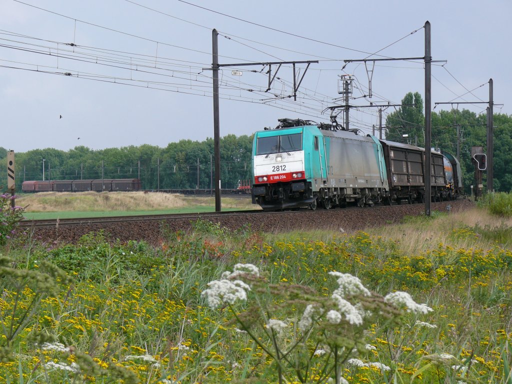 Die grosse Schleife bei Ekeren ist ein idealer Standort, um Zge in Kurvenlage zu fotografieren, und, wenn der Zug lang genug ist, das Zugende noch eingangs der Kurve zu sehen. Hier Cobra-Lok 2812 mit einem gemischten Gterzug auf dem Weg nach Aachen-West. Aufgenommen am 13/08/2010.