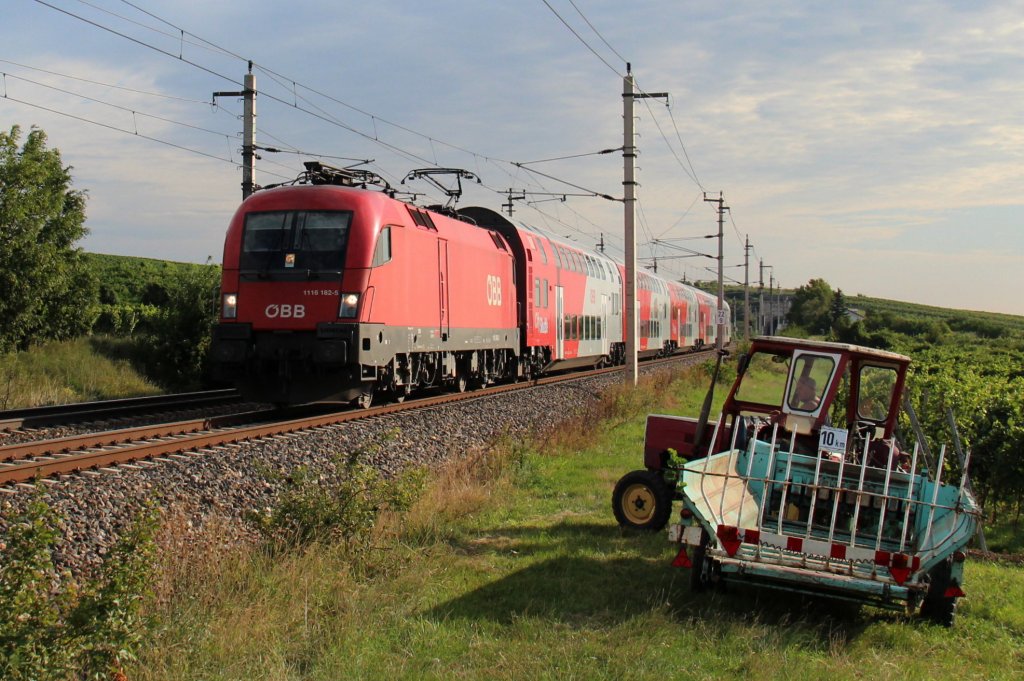 Die Gumpoldskirchner Weinbauern interessieren sich auf fr Zge. 1116 182 fuhr mit dem R 2311  EVN Energieexpress  von Breclav nach Wiener Neustadt Hauptbahnhof kurz nach dem  Busserltunnel  ihren nchsten Halt Baden entgegen; am 30.07.2012