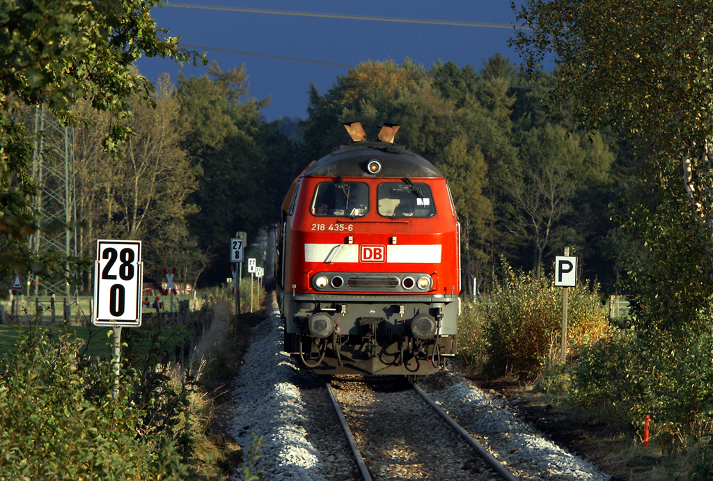 Die KBS 132  Bsum - Heide (Holst.) - Neumnster wird planmig ausschlielich von Triebwagen der Baureihe 648 der Nordbahn befahren.  Am 17.10.2009 bot ein von 218 435-6 gezogener Schotterzug whrend Streckenarbeiten bei Osterstedt etwas Abwechslung.