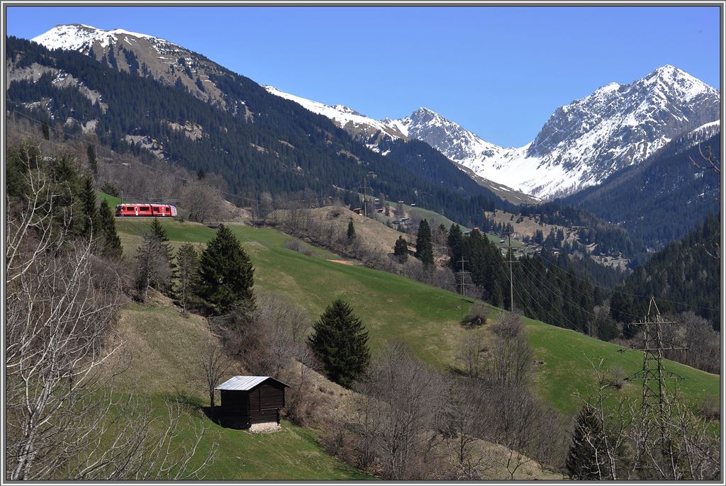  Die kleine Rote  wird sie auch genannt, die RhB. R1444 mit ABe 8/12 3504 zwischen Peist und St.Peter-Molinis. (25.04.2013)
