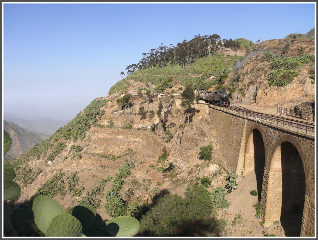Die Lage des Bahnhofs Arbaroba ist atemberaubend, denn gleich hinter der Station geht es einige hundert Meter runter in eine tiefe Schlucht und Richtung Asmara wird der Einschnitt mit einer mehrbogigen Brcke berquert. (01.02.2012)