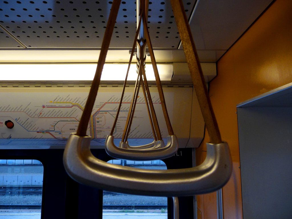 Die Lederhandgriffe in der 4020.320 am Wiener Ostbahnhof. (29.07.2010)
