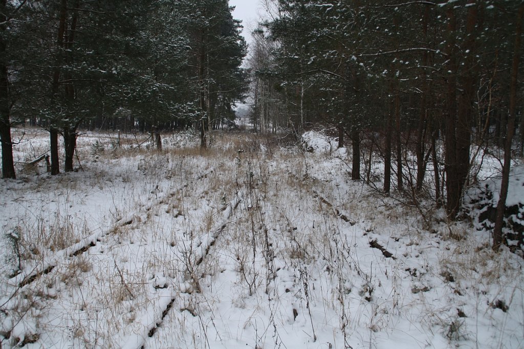 Die letzten Gleise der Anschlubahn vom Bahnhof Finowfurt zum Imprgnierwerk Hubertusmhle liegen hier vor den Toren des Betriebes unterm Schnee versteckt.