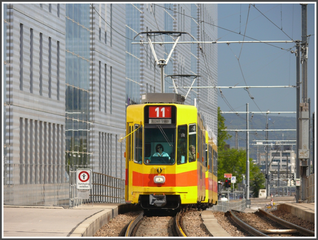 Die Linie 11 vor dem Jakob Burckhardt Haus in Basel. (21.09.2010)
