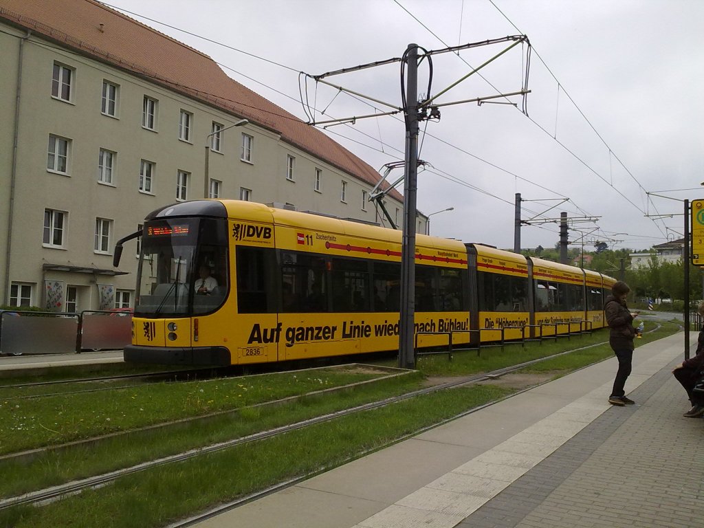 Die Linie 3 an der N�thnitzer Stra�e Richtung Wilder Mann.
Dresden den 13.05.10