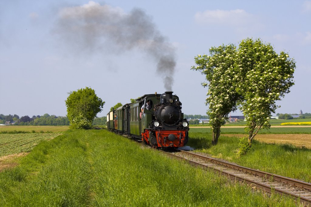 Die Lok 20 der Selfkantbahn am 19.05.2013 hinter Gelindchen.