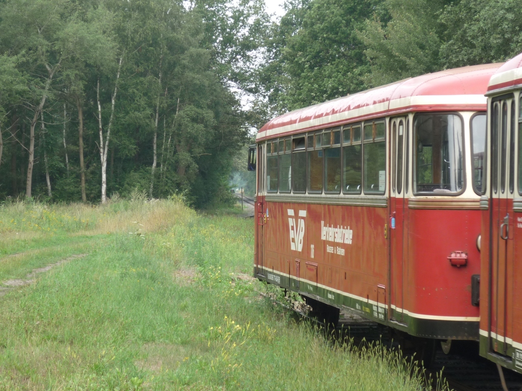 Die Moorexpress-Zge begegnen sich im Betriebsbahnhof Weyerdeelen-Umbeck. Der zuerst ankommende Zug aus Stade macht dem durchfahrenden Zug nach Stade Platz, indem er auf dieses zugewachsene Gleis fhrt. Weyerdeelen-Umbeck, 2010-08-08.
