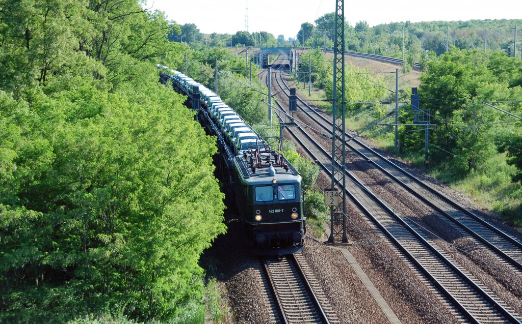 Die MTEG-Lok 142 001 zog am 29.05.11 den Skoda-Zug aus Bad Schandau kommend durch Holzweissig Richtung Bitterfeld.