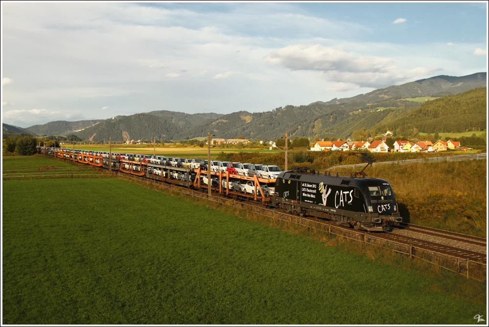 Die neue BB Werbelok 1116 153  CATS  fhrt mit dem Autozug 46753 von Breclav nach Tarvisio. 
St.Margarethen 9.9.2011

