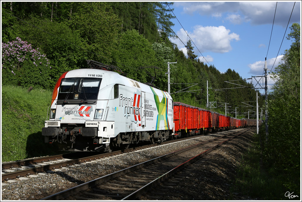 Die neue BB Werbelok, 1116 130  Frontrunner  zieht den 45336 von Sopron nach Villach Gvbf. 
Thalheim 15.5.2013