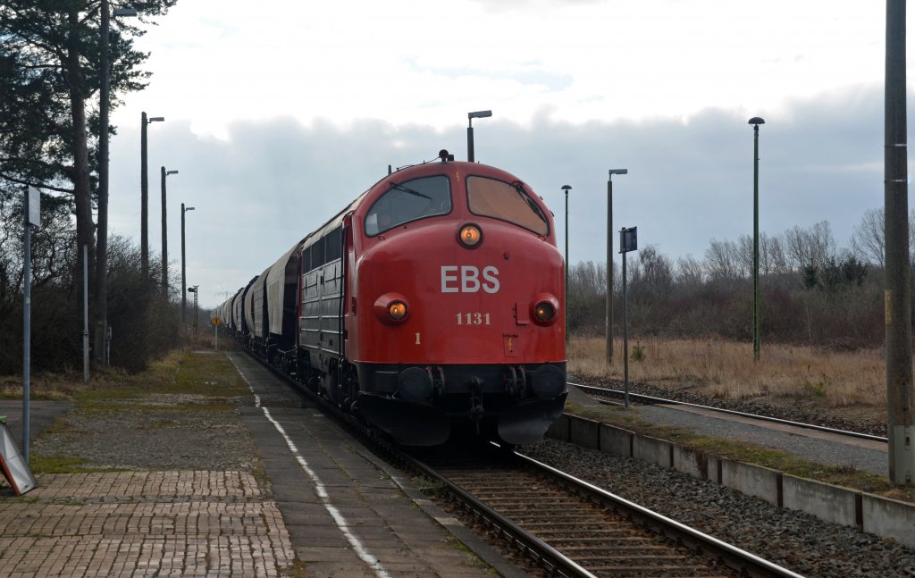 Die Nohab der EBS zog am 25.02.12 einen Transcereal durch Pegau Richtung Leipzig.