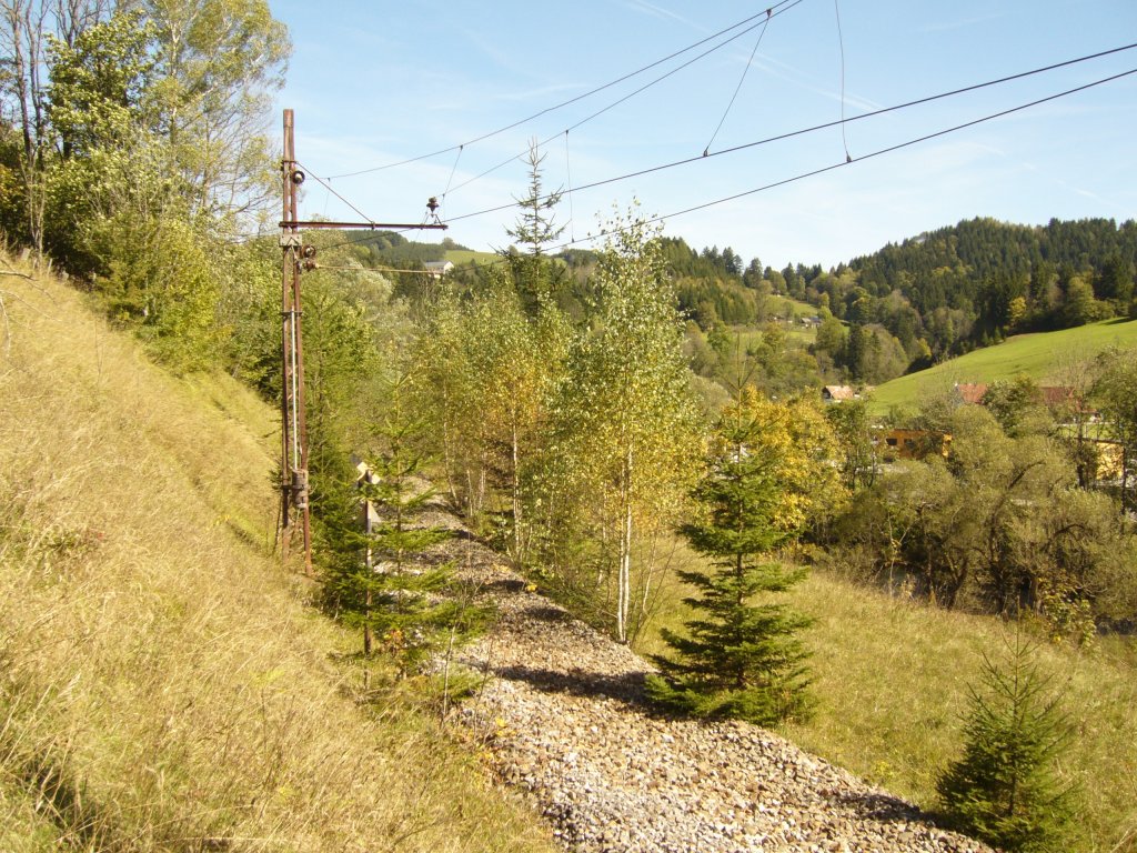 Die Oberleitungsanlagen und das Schotterbett sind seit dem Abbau des Gleiskrpers 2003 zwischen Mariazell und Guwerk grtenteils erhalten geblieben. Bei Rasing, Sep.2010