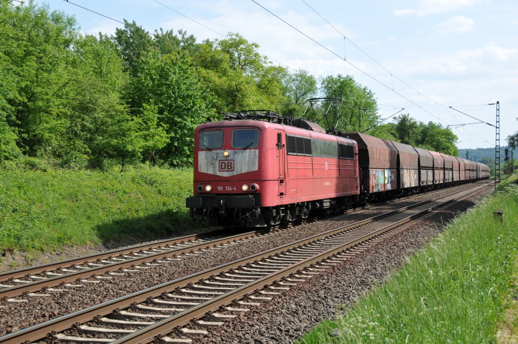 Die orientrote 151 134-4 mit Latz rollt mit einem langen Gterzug am Haken Richtung Norden. Aufgenommen am 13/05/2011 auf der rechtsrheinischen Strecke bei Unkel.