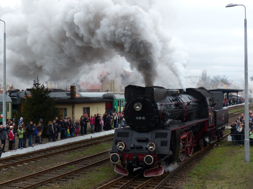 Die polnische Dampflok Ol49-59 auf der Parade in Wolsztyn, 27.4.2013