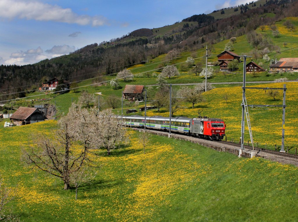 Die Re 456 095 mit einem Voralpenexpress am 23.04.2012 unterwegs bei Steinerberg.
