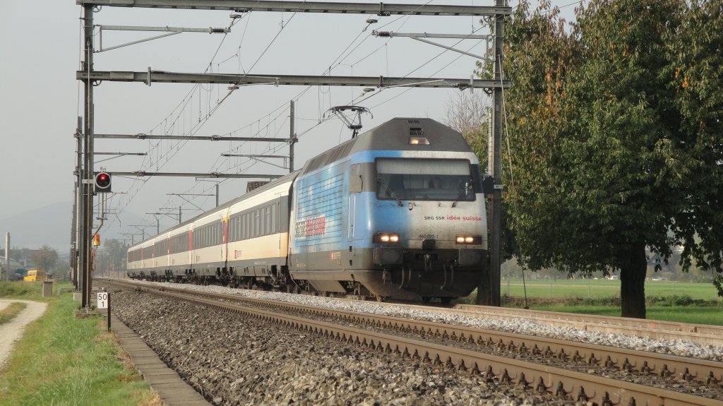 Die Re 460 020-1 mit der Werbung fr Ide Suisse durchfhrt am 08.10.10 Brittnau mit einem 7-teiligen IR nach Luzern.