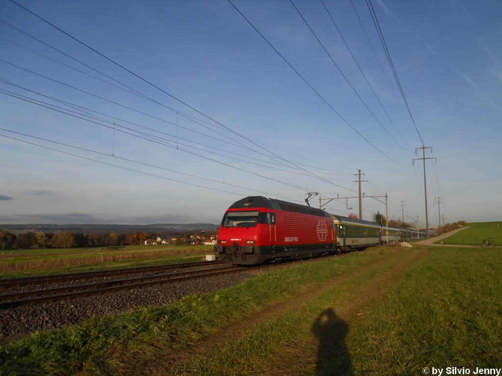 Die Re 460 086-2 ''gerisee'' hat am 4.11.2010 mit dem IR 9068 nach Biel zwischen Islikon und Gundetswil soeben die Kantonsgrenze der Kantone Thurgau und Zrich passiert.