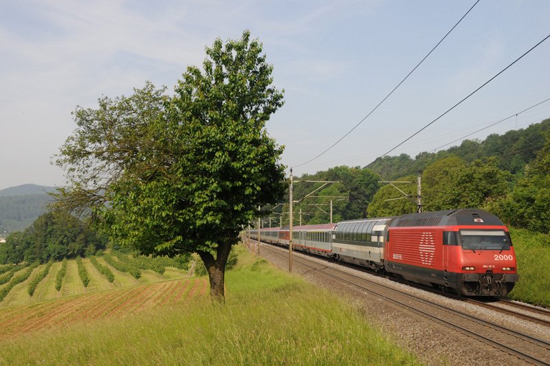 Die Re 460 117-5  Zrichsee  erreicht Umiken am 24.5.09 mit dem EC 163 TRANSALPIN Basel SBB - Wien.