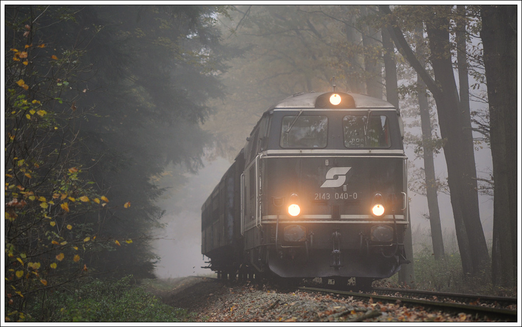 Die Reblaus im Wald: 2143 040 am 20.10.2012 mit dem Reblaus Express 16971 von Drosendorf retour nach Retz kurz vor Geras-Kottaun.