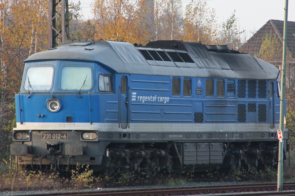 Die Regental Cargo 231 012 (i.E. f�r WFL) stand am 17.11.11 abgestellt in Duisburg-Wedau.