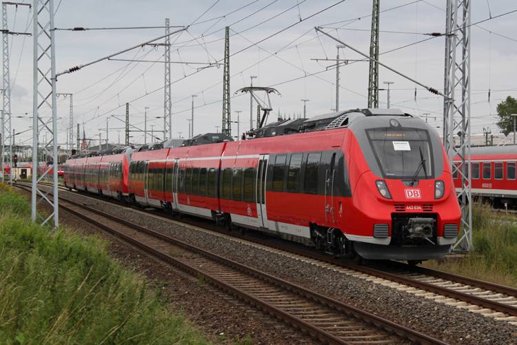 Die reinste Hamster-Invasion war es am 26.07.2011 als Sie Rostock erobert haben.
