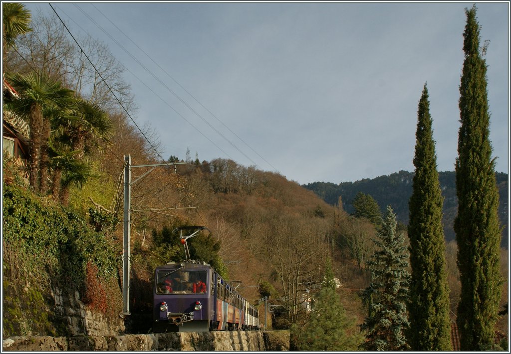 Die Rochers de Naye Bahn, und besonders deren Weihnachtsmann Zug, bringt man Eis und Winter in Verbindung, doch es geht auch anders, wie dieses Bild aus Montreux zeigt: Palmen und Pinien nein sumen den Weg der des Rochers de Naye Trasse. 
23. Dez. 2012