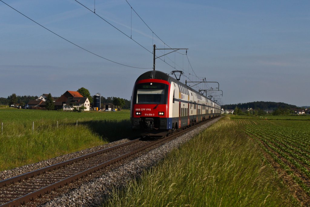 Die S16 ist eine der beschleunigten S-Bahnlinien des Zrcher S-Bahnnetzes. Sie verkehrt halbstndlich zwischen von Herrliberg-Feldmeilen an der Goldkste zum Flughafen Zrich Kloten von wo aus jeder zweite Zug bis an die Deutsche Grenze nach Thayngen verlngert wird und dabei sogar DB-Gleise unter die Rder nimmt. Lange Zeit war diese Linie ein Haupteinsatzgebiet der Zrcher Ur-S-Bahnen der Reihe RABDe 510, heute sind auch hier ausschlisslich Doppelstockzge im Einsatz. Hier RABe 514 036 als S16 19670 (Herrliberg-Feldmeilen - Thayngen) zwischen Henggart und Andelfingen im Zrcher Weinland. (13.Mai 2011)