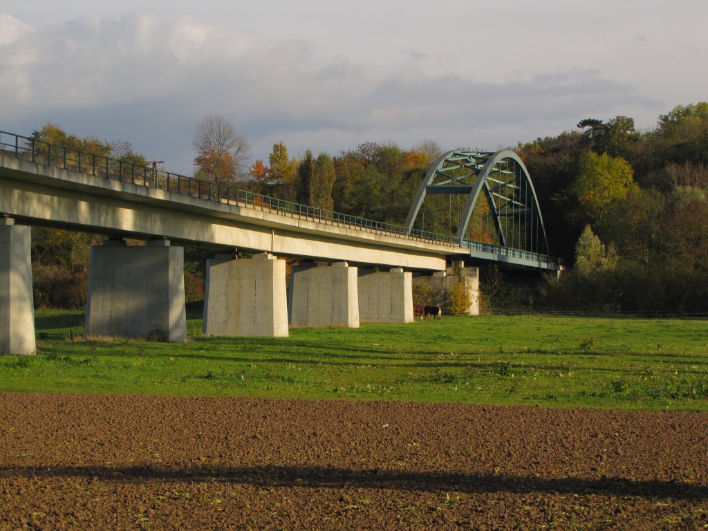 Die Saalebrcke bei Kriechau, wo ausschlielich die Kohlependel von Whlitz nach Buna Werkbf fahren; 25.10.2010