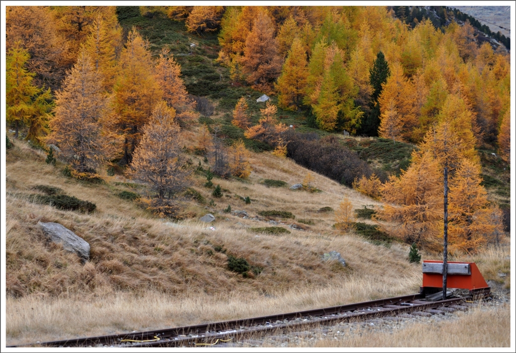 Die schnste Jahreszeit im Engadin beginnt mit dem Verfrben der Lrchenwlder. Abstellgleis mit Prellbock und Schneestange in Bernina Suot. (11.10.2012)