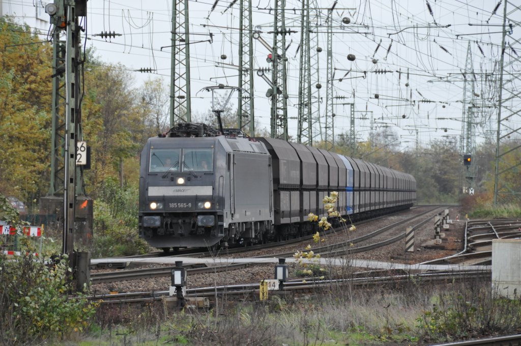 Die schwarze 185 565-9 von MRCE f�hrt mit einem Kohlezug durch Gremberg. Aufgenommen am 12/11/2010.