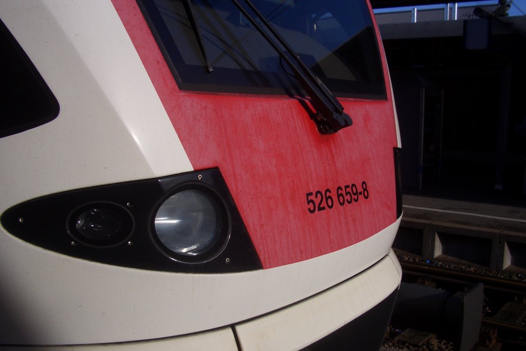 Die Seehasen bleichen langsam aus, schade!
Konstanz, 26.12.09.