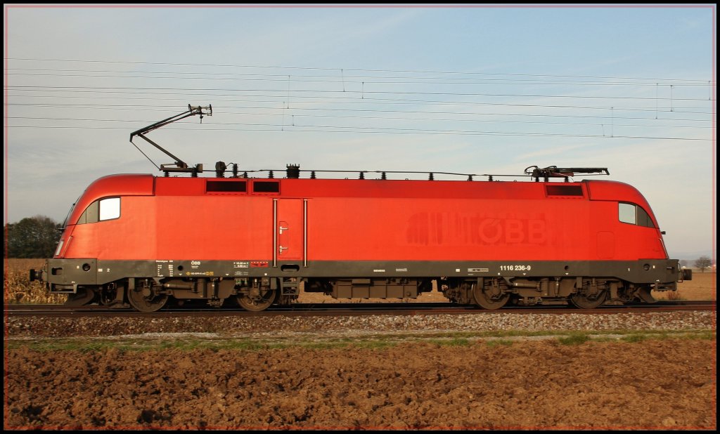 Die seit dem April 2007 an ITL vermietete 1116 236 -9 rauschte am sonnigen 27.10.10 in Mangolding an uns vorbei. 