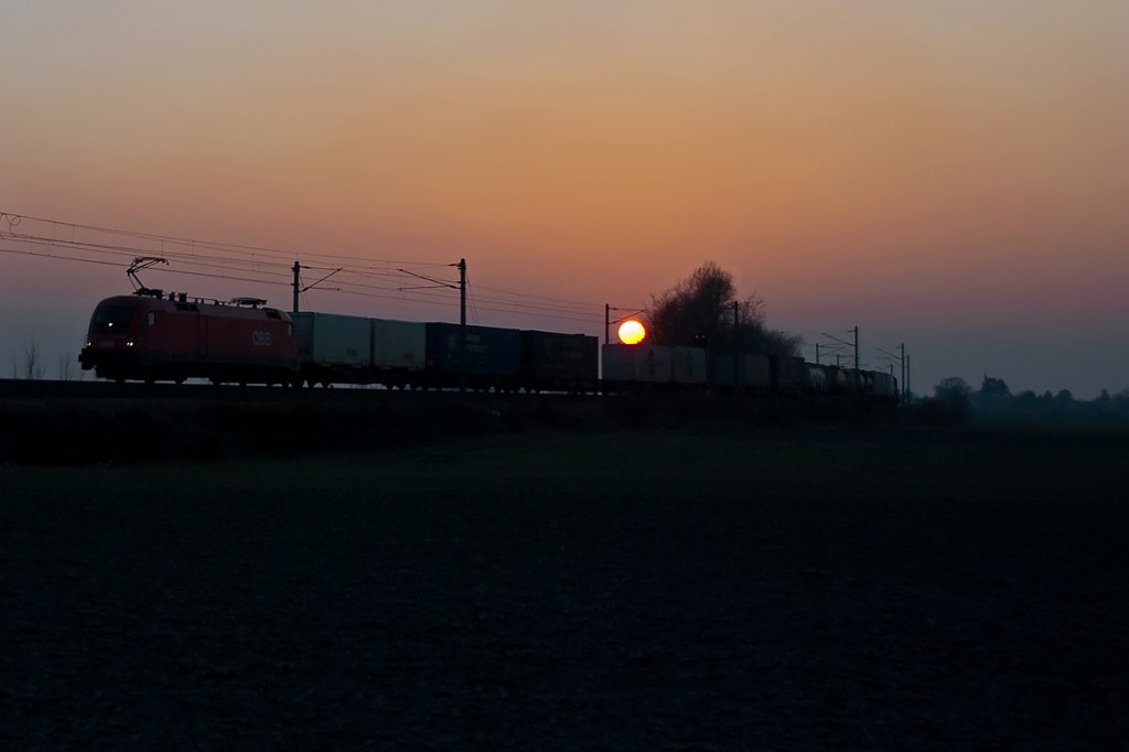 Die Sonne war grad am Untergehen, als diese Aufnahme entstand. Langenlebarn, am 04.03.2011.