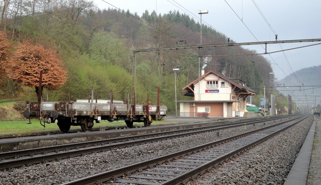 Die Station Hornussen liegt an der Gtertransitachse Gotthard (Bzberg-Nordrampe), stellt einen Cargo-Bedienpunkt dar und hat keine haltenden Personenzge mehr. Auf die angesprochene Cargo-Leistung wartet am 12.04.12 der Xs 40 85 9527 046-8 (Heimatbahnhof: Muttenz).
