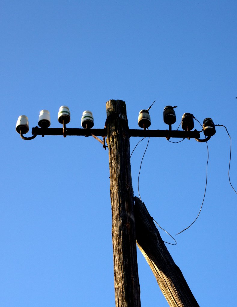 Die Stillegung der Strecke  ist natrlich auch das Ende fr die Fernsprechleitung, auch wenn die Holzmasten oft noch ber Jahre stehen.
Strecke Torgau - Pretzsch   16.03.2013  17:01 Uhr