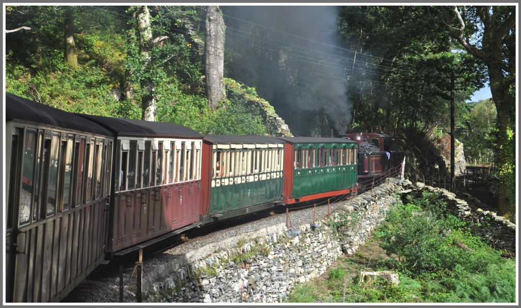 Die Strecke nach Blaenau Ffestiniog befindet sich im unteren Streckenteil meistens im dichten Laub- und Farnwald und verluft oft auf Sttzmauern. (14.08.2011)