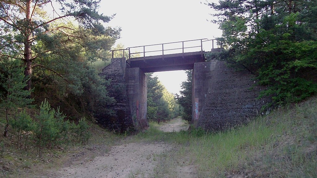 Die Trasse der ehem. Verbindungskurve Eberswalde wird bei Km 2,5 von der Industriebahn Eberswalde berquert. 13.06.2009
