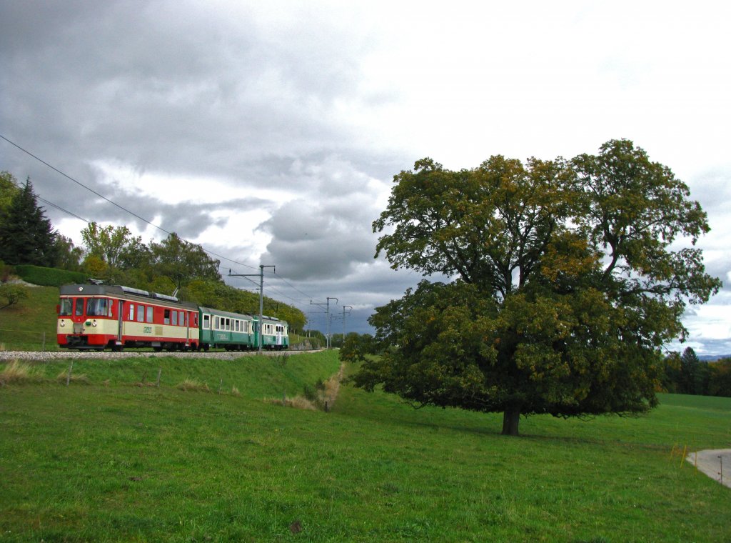 Die Triebwagen Be 4/4 15 und 11 mit eingeklemmtem Steuerwagen bremsen den R 121 (Bire-Morges) die Kehre zwischen der Haltestelle Chardonney-Chateau und Yens hinunter. (5.Oktober 2010)