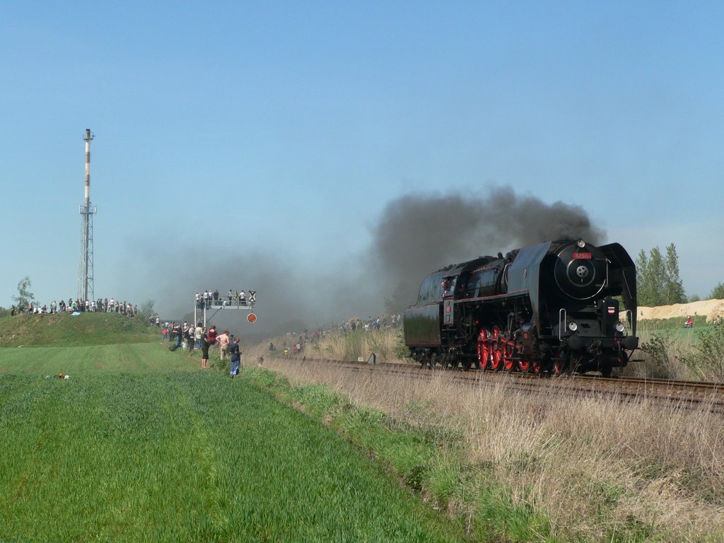 Die tschechische Dampflok 475.101 am 28.4.2012 auf der Dampflokparade in Wolsztyn.