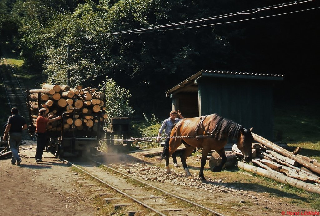 Die Waldbahn Covasna-Comandau bestand aus zwei Teilstrecken, von denen eine im Tal, die andere in rund 1.000 m Sehöhe auf einer Hochebene lag. Verbunden waren die beiden Teilstücke durch eine Standseilbahn, die einen Höhenunterschied von 327 m überwand und mit der die beladenen Holzwagen ins Tal befördert wurden. Dort übernahmen Pferde den Weitertransport zum nahegelegenen Talbahnhof Siclau. Sobald ein genügend ausgelasteter Zug zusammengestellt war, wurde er von einer Dampflok nach Comandau befördert. Die Aufnahme entstand im August 1992 an der Talstation, Das  Triebfahrzeug  (Bezeichnung und Baujahr unbekannt) setzt sich gerade in Bewegung, links ist der Beginn der Standseilbahnstrecke zu erkennen.  