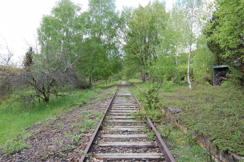 Die wrttembergische Schwarzwaldbahn am 11. Mai 2013 am Haltepunkt Ostelsheim.