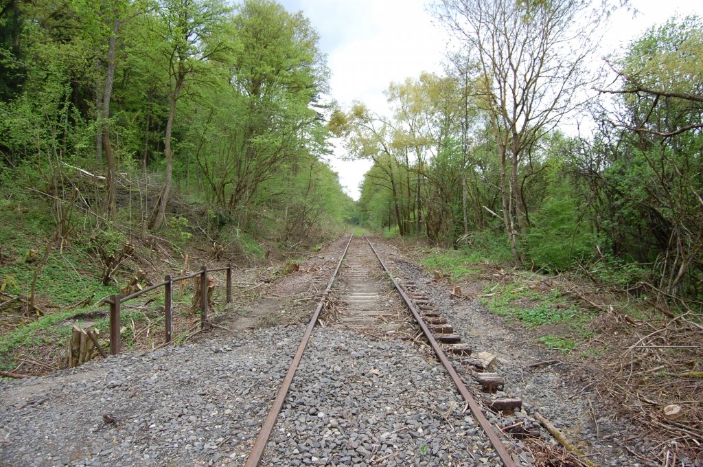 Die w�rttembergische Schwarzwaldbahn am 11. Mai 2013 kurz nach dem Bahn�bergang zwischen Ostelsheim und Althengstett. Mittlerweile vom Gestr�pp befreit.

