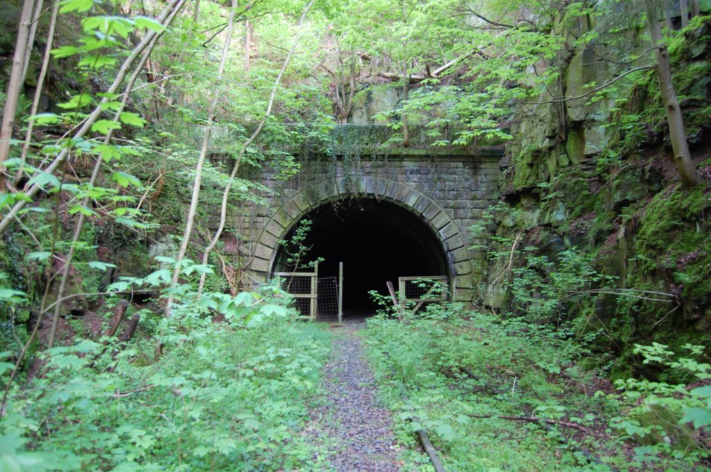 Die wrttembergische Schwarzwaldbahn am 18. Mai 2013 bei Calw am Tunneleingang.
