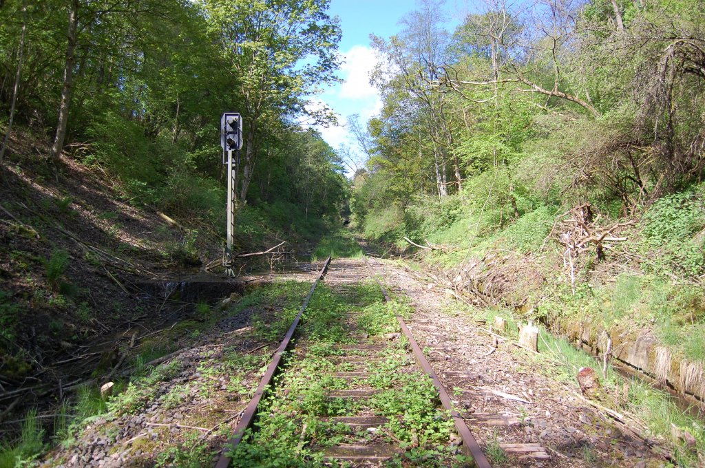 Die wrttembergische Schwarzwaldbahn am 18. Mai 2013 zwischen Ostelsheim und Althengstett. Dort steht noch ein altes Signal.

